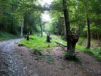 Salita al Monte Gugliemo da Zone (BS) per il 'Bosco degli gnomi' il 12 giugno 2010 - FOTOGALLERY